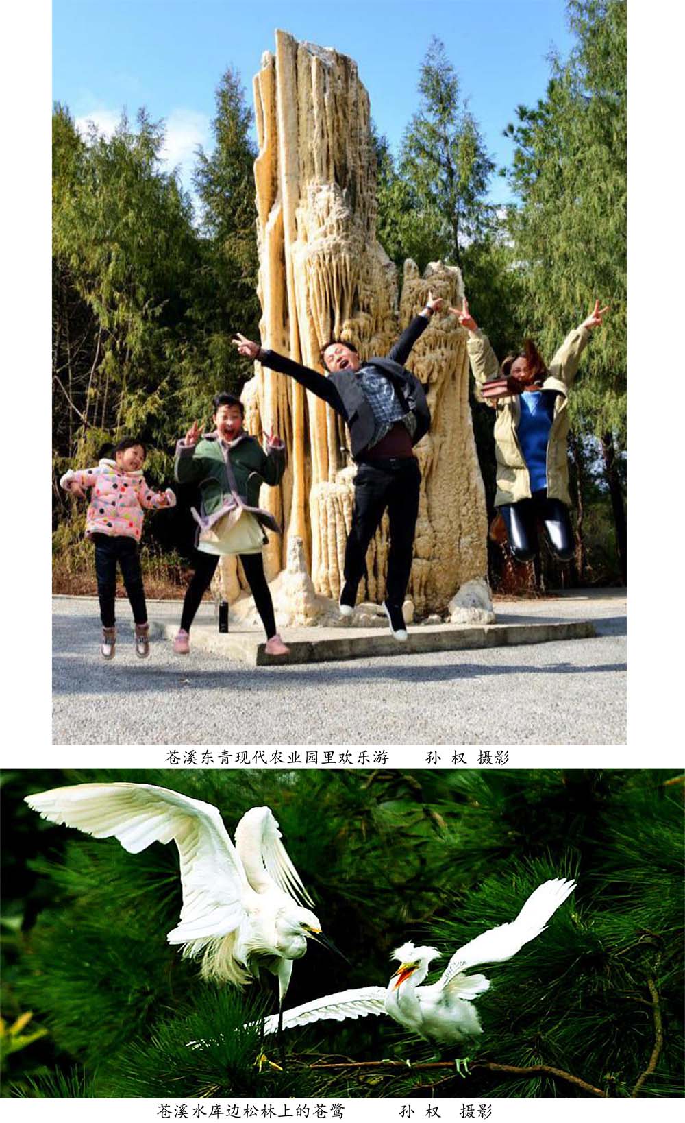 2024-5-10《四川苍溪孙氏宗谱上下部合版图文》（第三稿》（定稿） - 副本-783.jpg