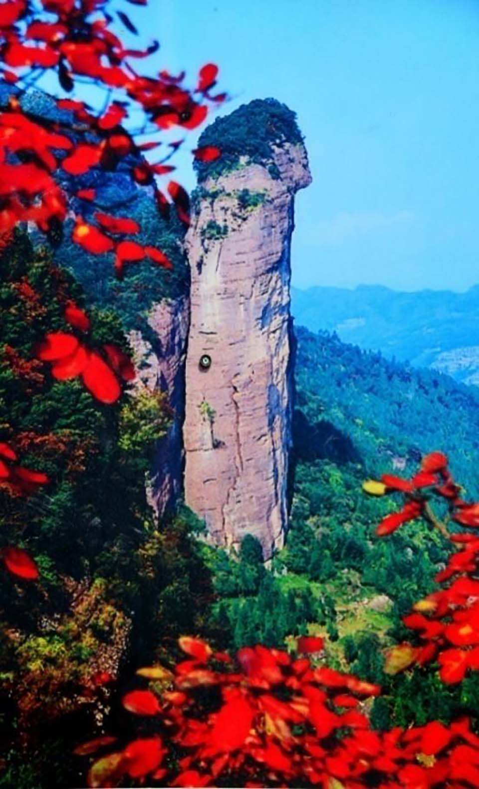 图片5.jpg